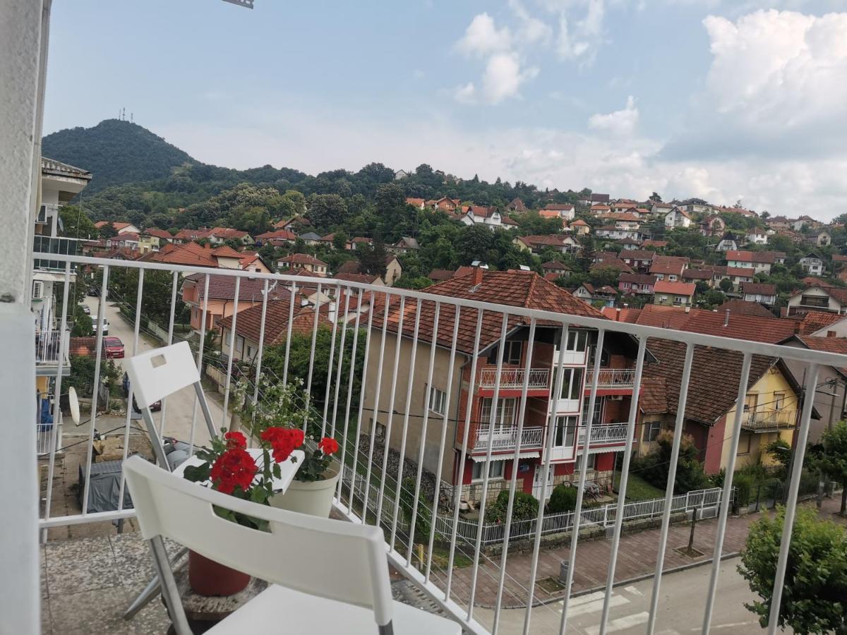 Faris Apartment Donji Milanovac Exterior photo