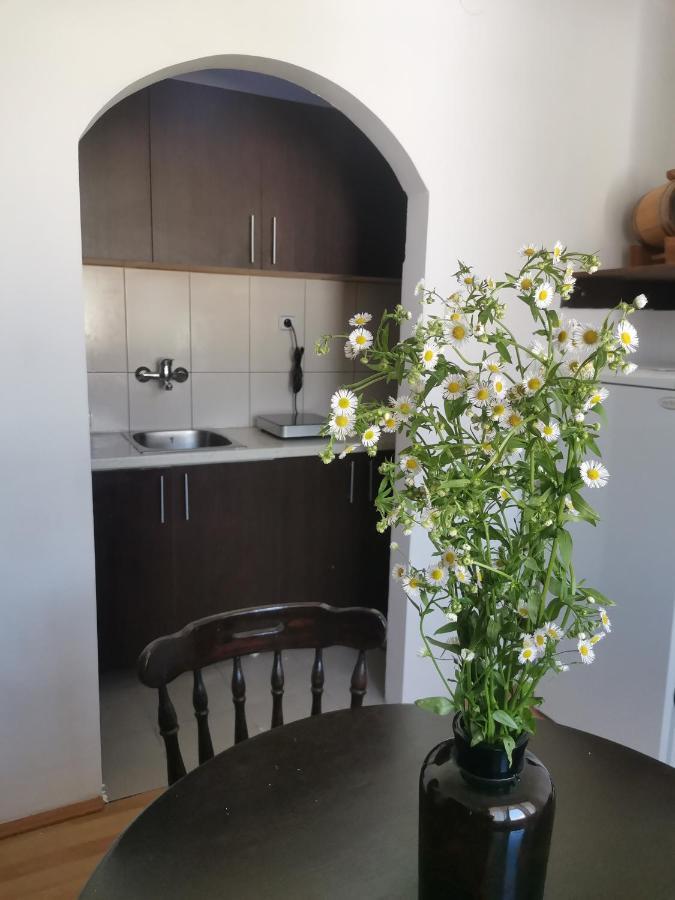 Faris Apartment Donji Milanovac Exterior photo